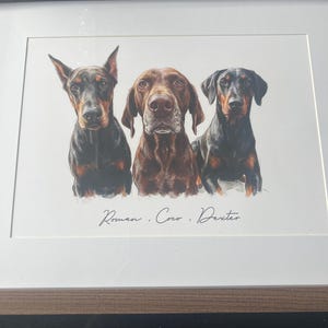 Leesa added a photo of their purchase