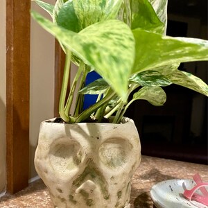 Betsy added a photo of their purchase