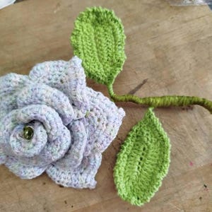 Ilka added a photo of their purchase
