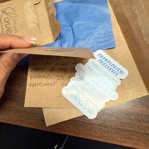 JoAnn ha añadido una foto de su compra