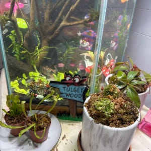 Jennifer added a photo of their purchase
