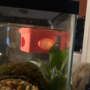 Grace added a photo of their purchase