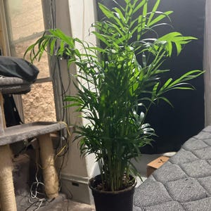Michael added a photo of their purchase