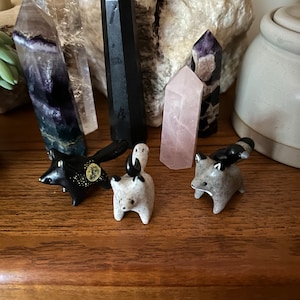 Eden added a photo of their purchase