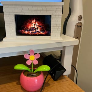 Victoria added a photo of their purchase