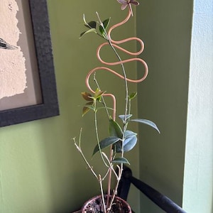 Barbara added a photo of their purchase