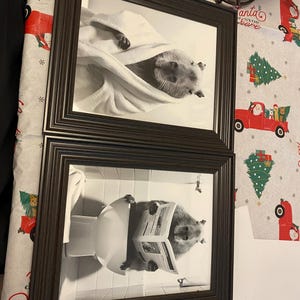 BRAD added a photo of their purchase