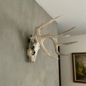 Michele added a photo of their purchase