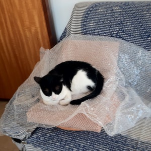 Renate added a photo of their purchase