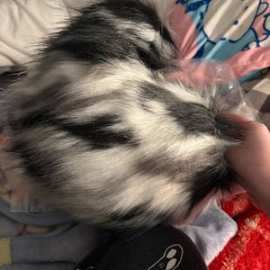 SpookyChi added a photo of their purchase
