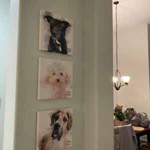 TS added a photo of their purchase