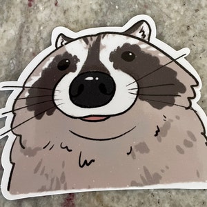 Raccoon Close up Funny Sticker Raccoon Sticker Gifts Under 10 Water ...