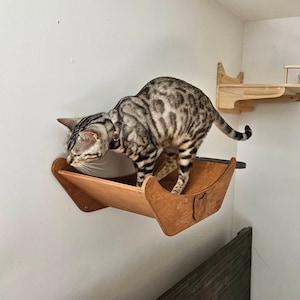 jello added a photo of their purchase