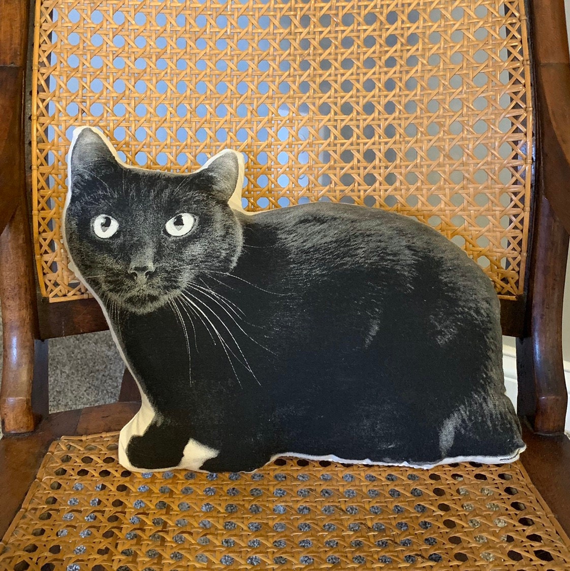 Silkscreen Black Cat Pillow