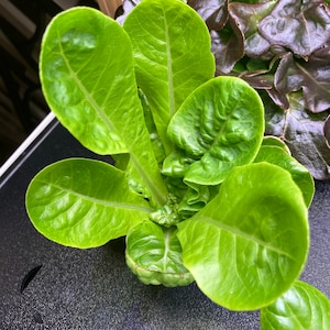 Nancy added a photo of their purchase