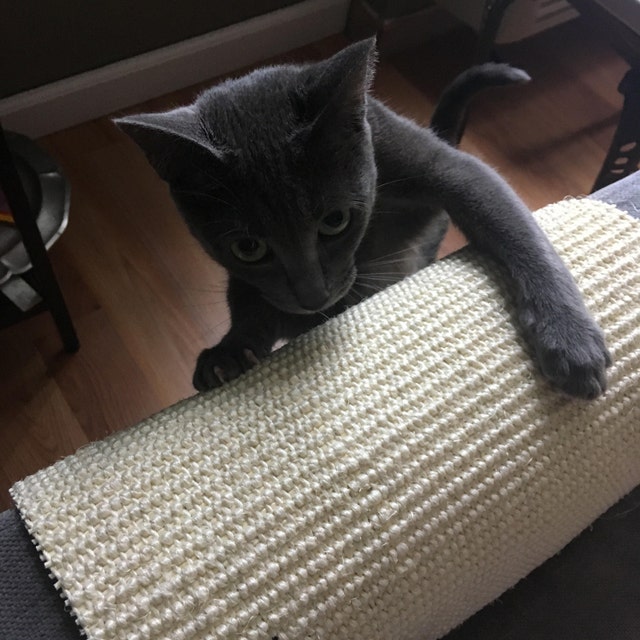 Cat Scratching Material Feline Sisal DIY Cat Scratcher Etsy