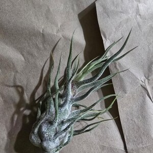 Maria added a photo of their purchase