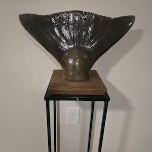 Paul added a photo of their purchase