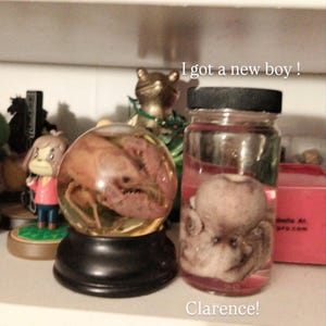 Kit added a photo of their purchase