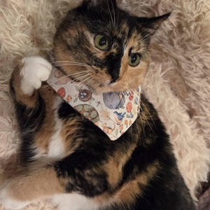 Lisa added a photo of their purchase