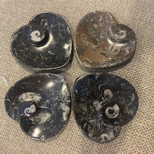 Rachel added a photo of their purchase