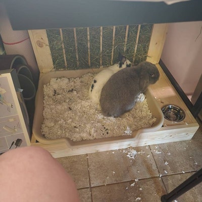 Rabbit Litter Pan With Base - Etsy