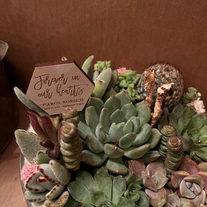 Val added a photo of their purchase