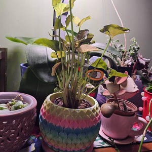 Linda added a photo of their purchase