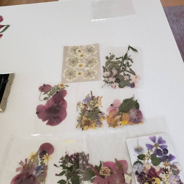 Dried Pressed Flowers For Crafts - Pressed Flowers Mix Pack - Dry Pressed  Flower Art - Dried Real Flowers - Card Making - 145x106mm - HM1027