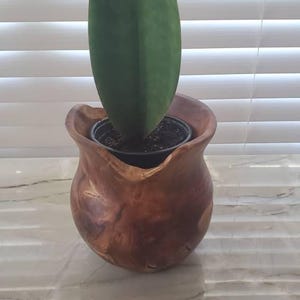 Latoya added a photo of their purchase