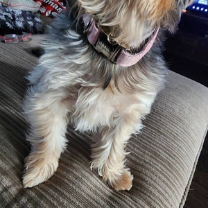 Luci added a photo of their purchase