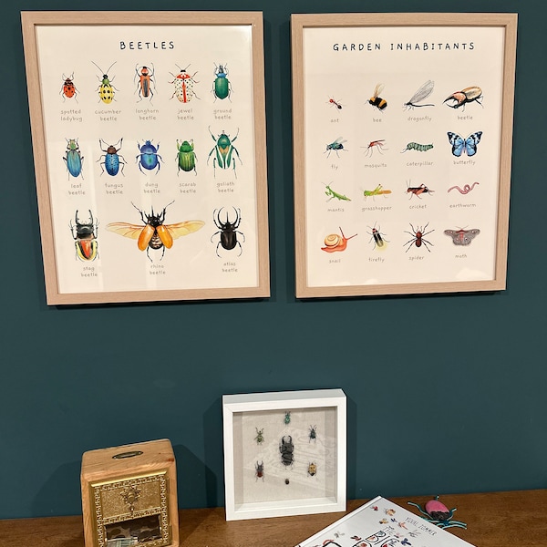 Food Montessori Educational Posters Set of 6 | Printable Homeschool ...