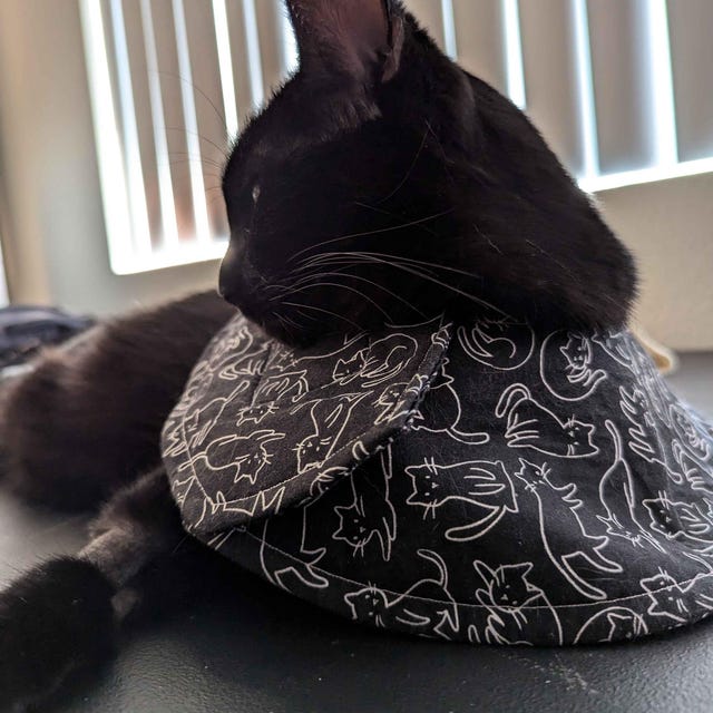 Agape Cat Cone Collar Soft And Cool, Lightweight Recovery Collar For Cats After Surgery, Adjustable Cat Cone Alternative, Reflective Neck Cone To Stop Licking,Waterproof E Collar For Wound Care (Grey