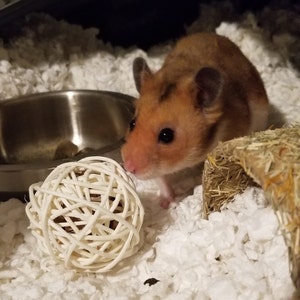 Rae D added a photo of their purchase