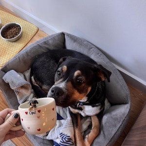 emma heeft een foto van de aankoop toegevoegd