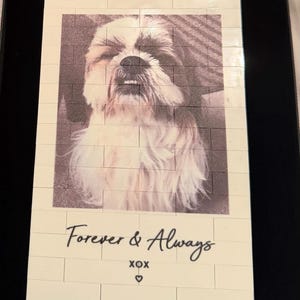 Chloe added a photo of their purchase