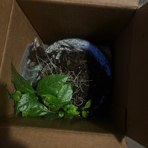Judy added a photo of their purchase