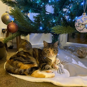 Philippa added a photo of their purchase