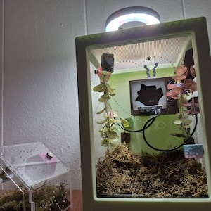 Etsy-Käufer:in hat ein Foto des gekauften Artikels hinzugefügt