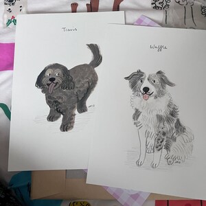 Sophie added a photo of their purchase