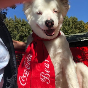 Cindy added a photo of their purchase