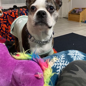 tara added a photo of their purchase