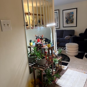 Mary added a photo of their purchase