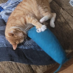 Sophie Bourn added a photo of their purchase