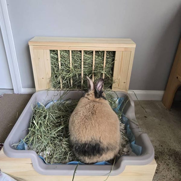 Hop Box Double Entry Rabbit Hay Feeder & Litter Box Combo | Wooden ...