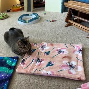 Donna added a photo of their purchase