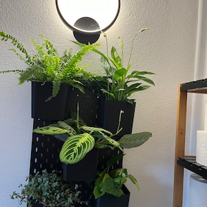 Melanie added a photo of their purchase