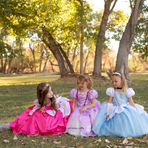 Cinderella Dress / Disney Princess Dress Inspired Costume Ball Gown ...