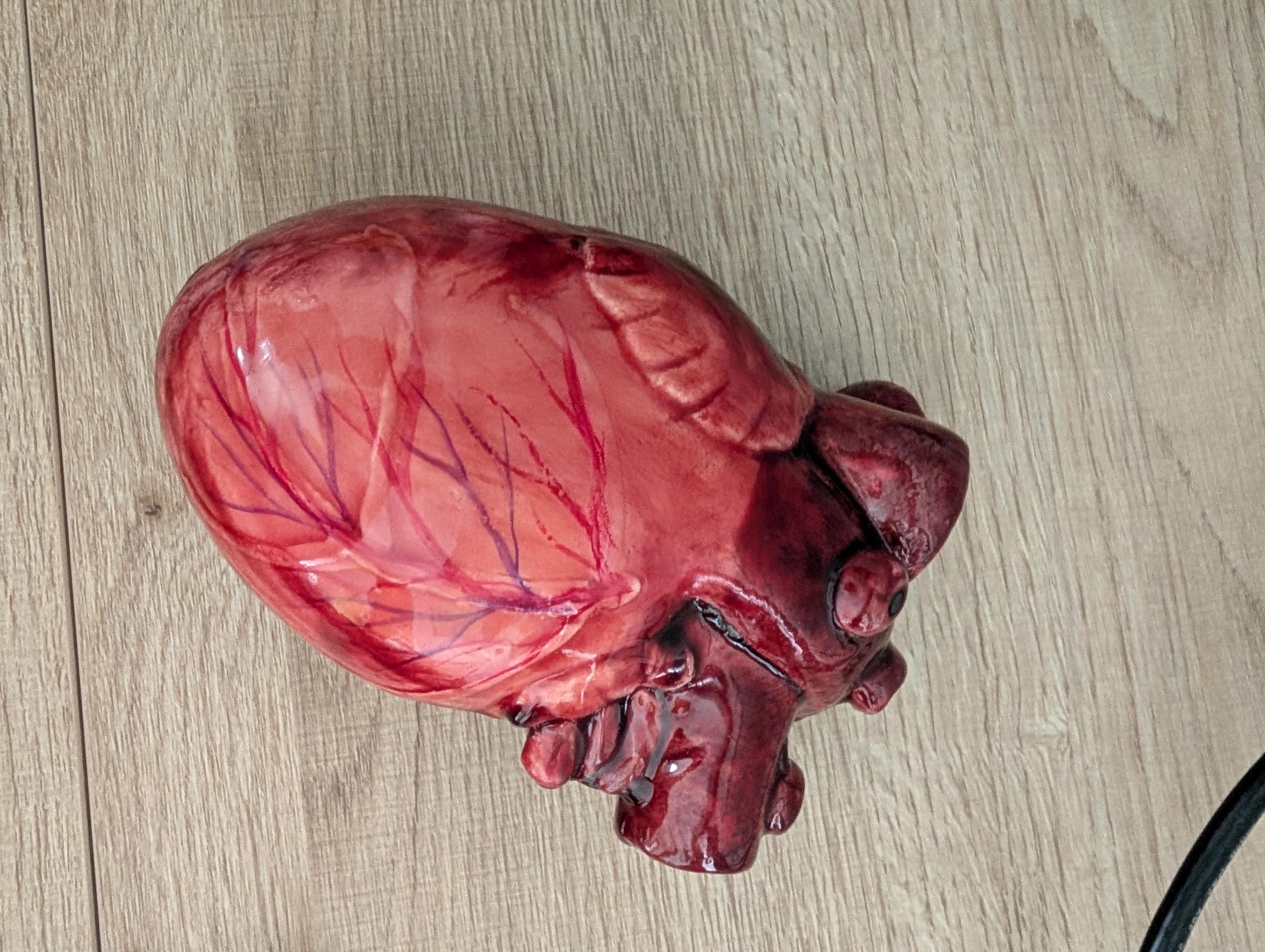 Life Size Human Heart,Handmade Heart,Realistic Heartc,Bloody Heart