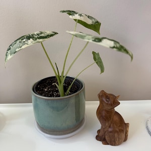 Kay added a photo of their purchase
